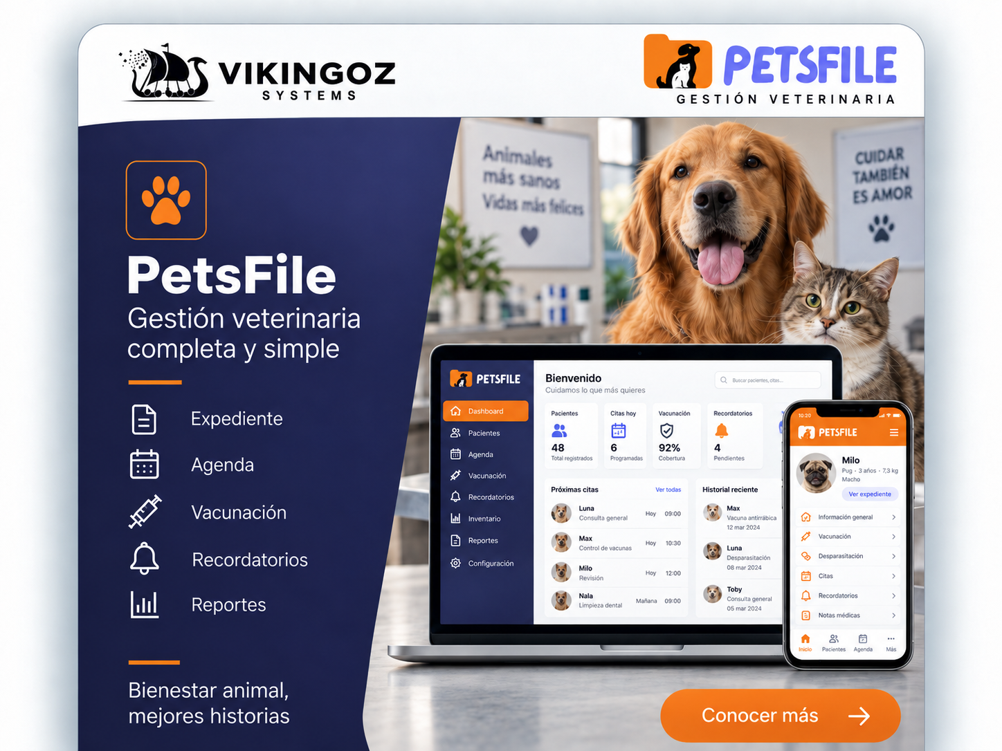 Vikingoz PetsFile · Gestión veterinaria digital