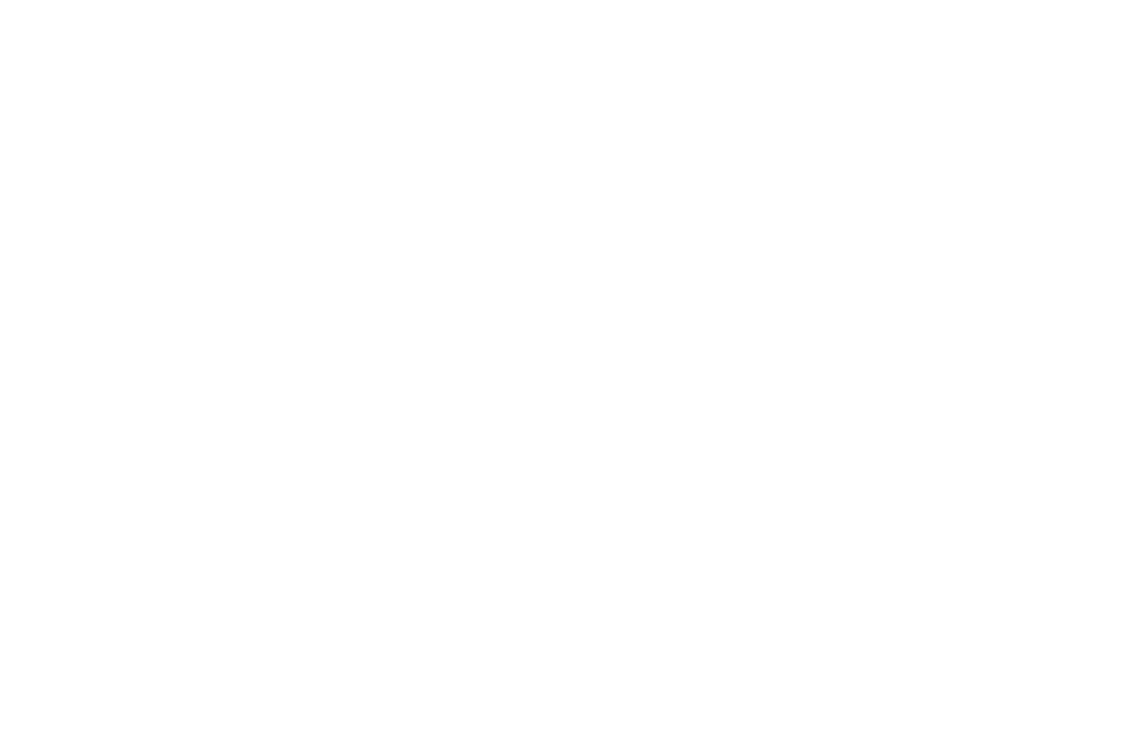 Logo VIkingoz RRHH